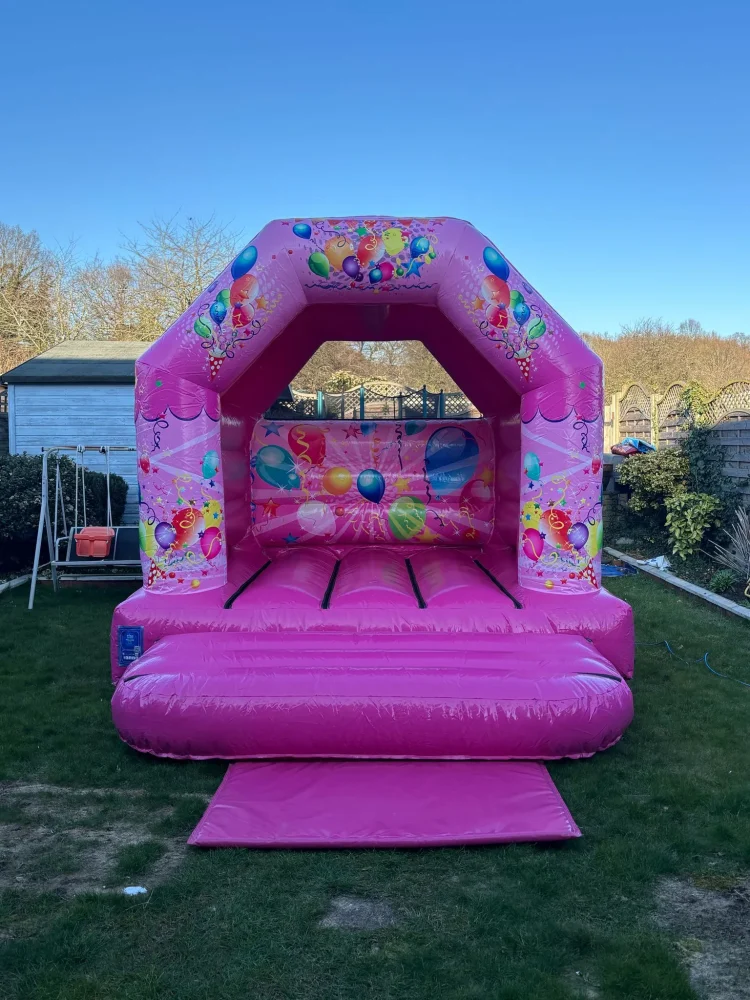 Small pink bouncer